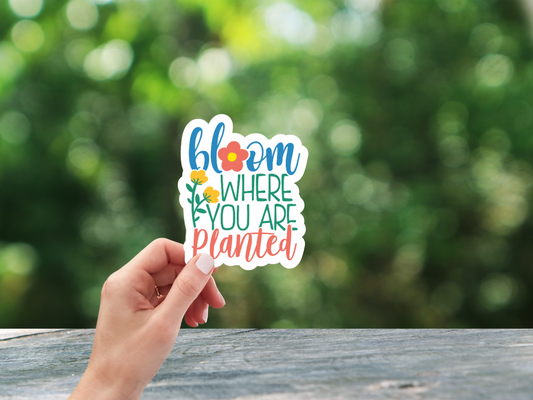 Bloom Where You Are Planted Sticker