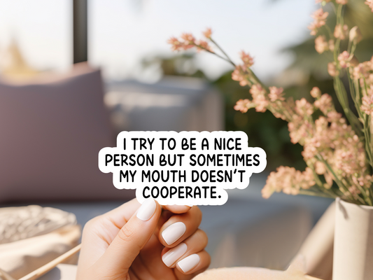 I Try To Be A Nice Person Sticker